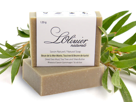 صابونة البحر الميت